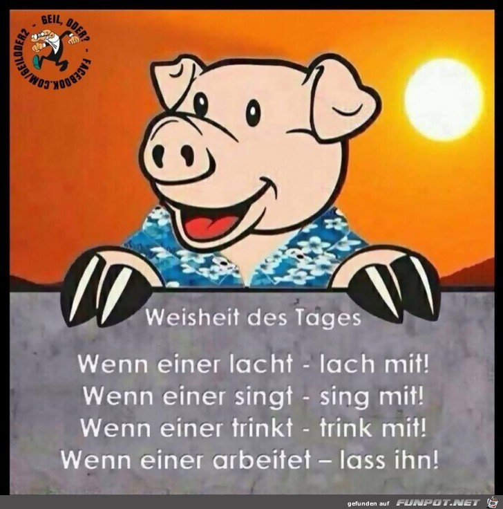 Weisheit des Tages