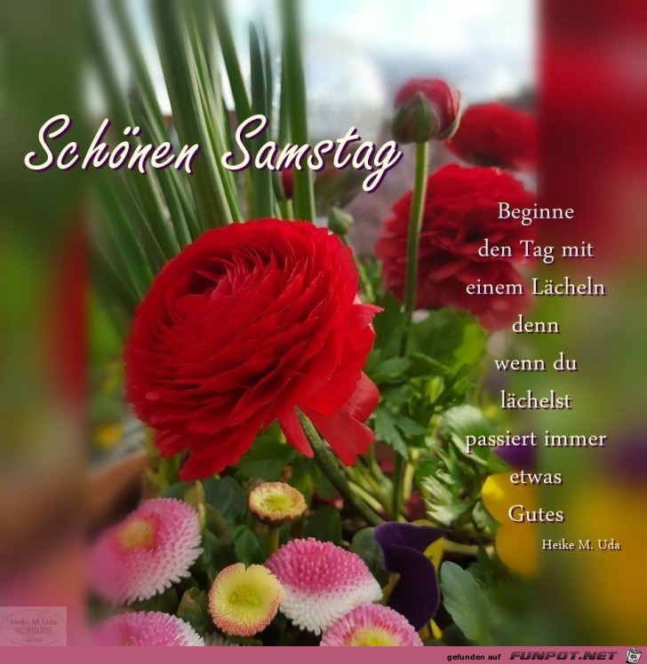 Schoener Samstag Schoener Samstag