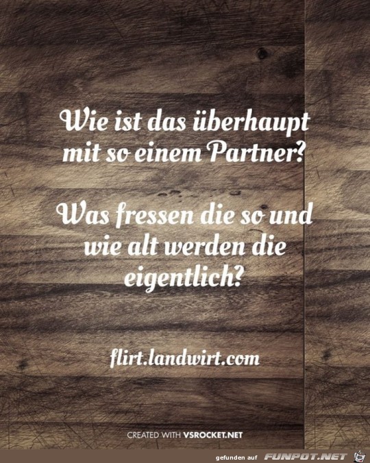 Das Leben mit einem Partner Das Leben mit einem Partner
