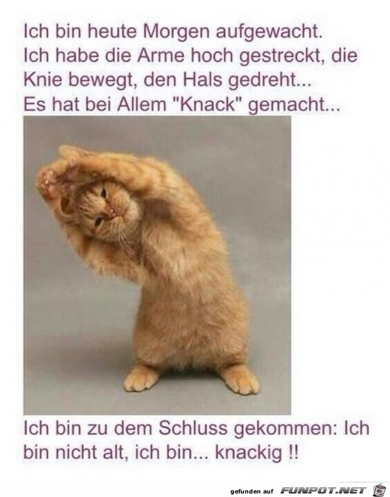 ich bin heute Morgen aufgewacht....... ich bin heute Morgen aufgewacht.......