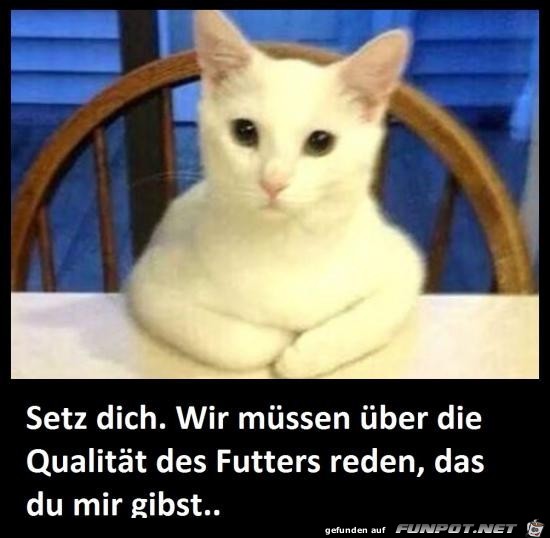 setz dich......... setz dich.........