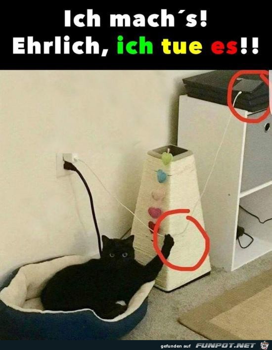 Drecksbiest Drecksbiest