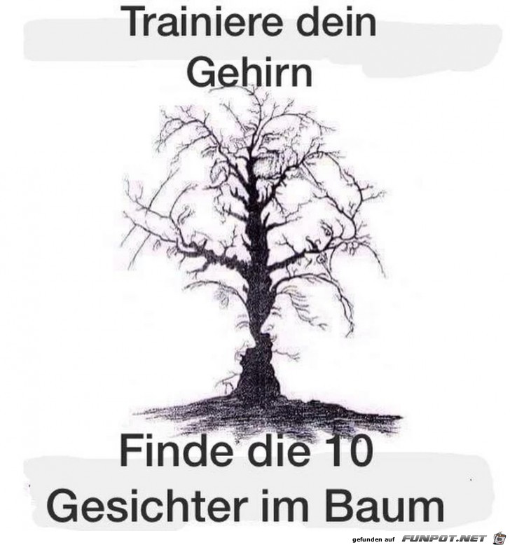 Trainiere dein Hirn Trainiere dein Hirn
