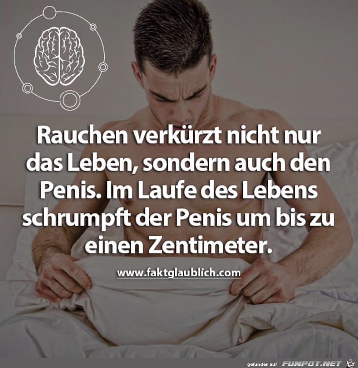 Rauchen verkuerzt nicht nur das Leben bei Maennern Rauchen verkuerzt nicht nur das Leben bei Maennern