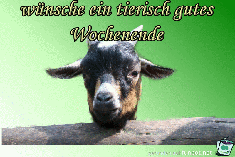 Schönes Wochenende Schönes Wochenende