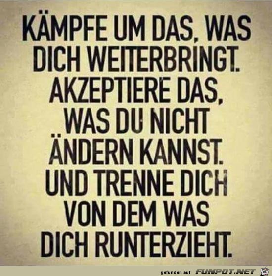 kmpfe um das was dich weiterbringt........