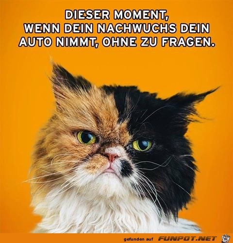 Dieser Moment Dieser Moment