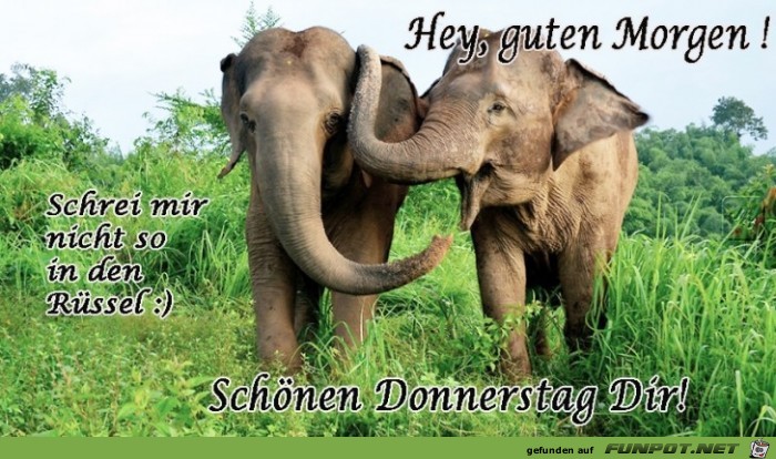 Donnerstag Donnerstag