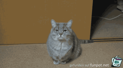 witzige animierte Bilder aus verschiedenen Blogs