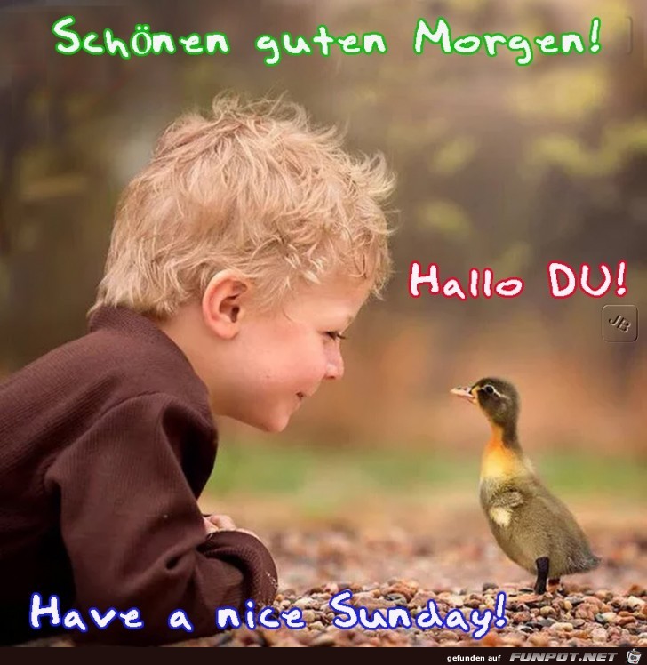 Sonntag Sonntag