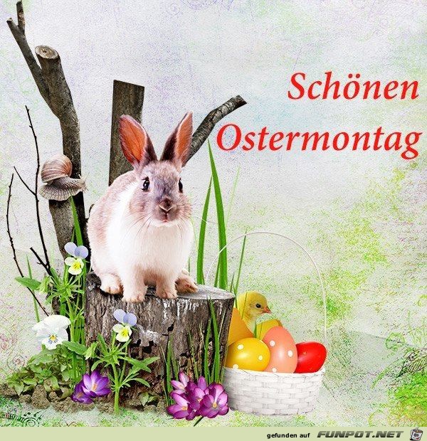 Schoenen Ostermontag Schoenen Ostermontag