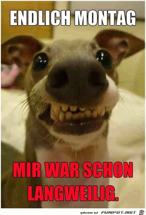 Endlich Montag Endlich Montag