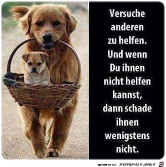 Hilfe Hilfe