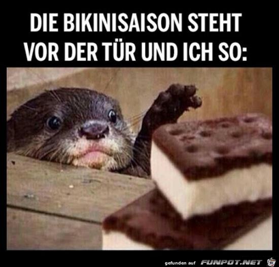 Ich so Ich so