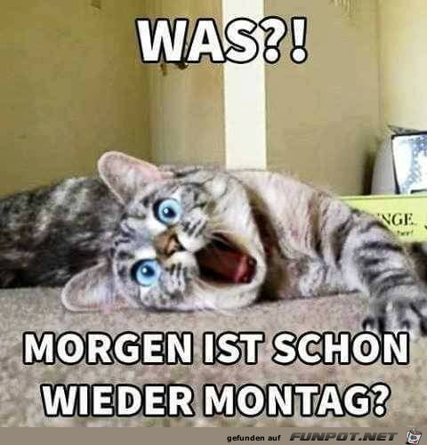 Was Was