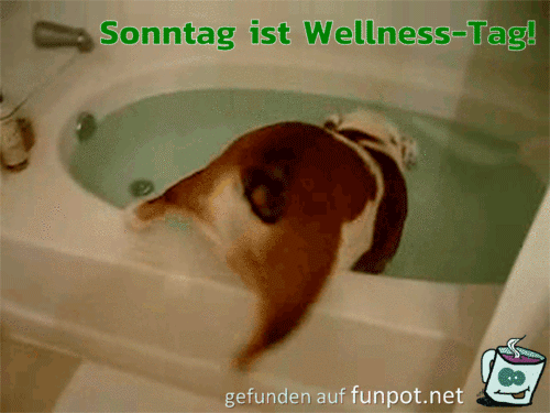 Wellness-Tag Wellness-Tag