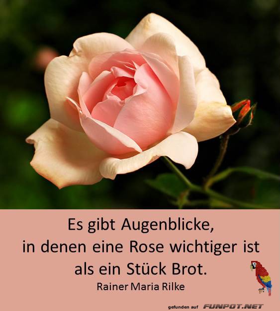 10 schne Sprche und Lebensweisheiten aus...