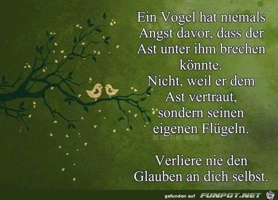 Ein Vogel Ein Vogel