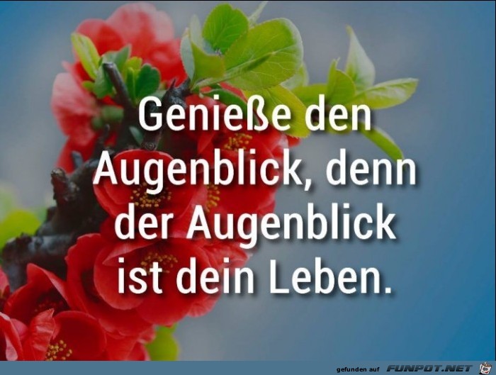 Geniesse den Augenblick Geniesse den Augenblick