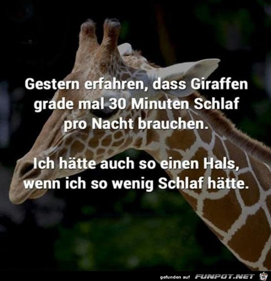 Jetzt ist alles klar Jetzt ist alles klar