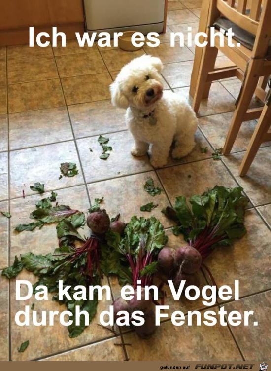 Is klar Is klar