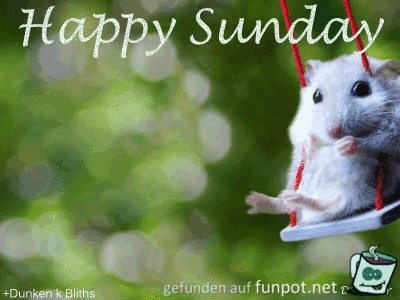 Schönen Sonntag Schönen Sonntag