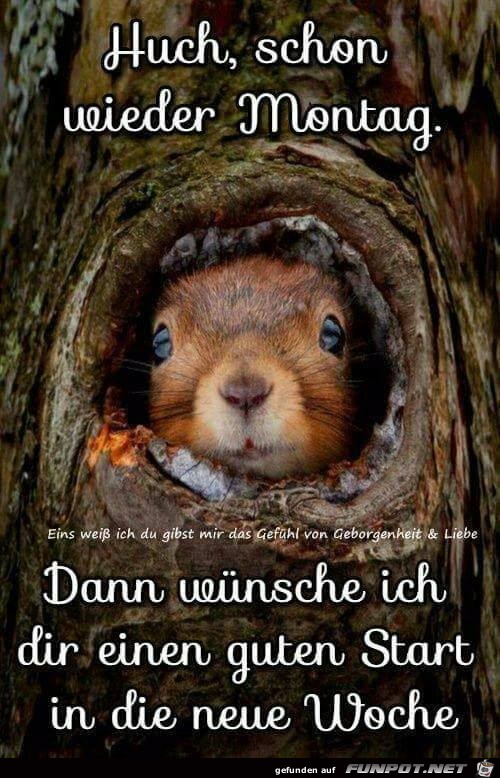 Huch schon wieder Montag
