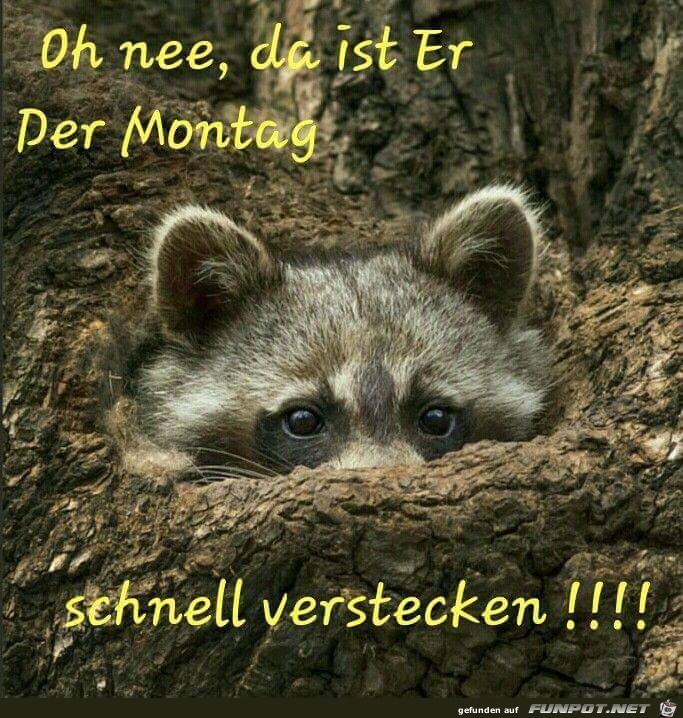 Oh nee