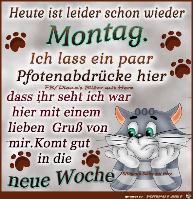 Heute ist leider schon wieder Montag Heute ist leider schon wieder Montag