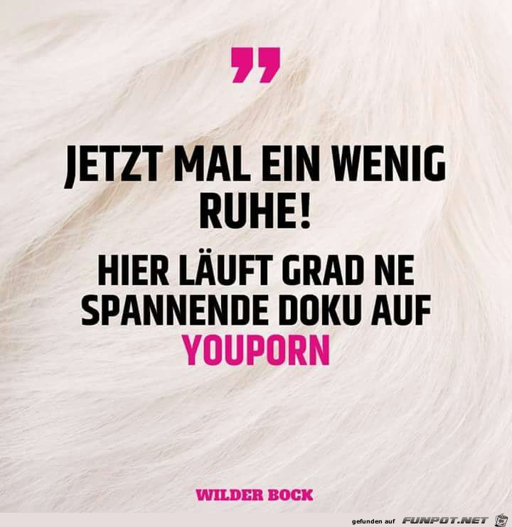 Jetzt mal ein wenig Ruhe