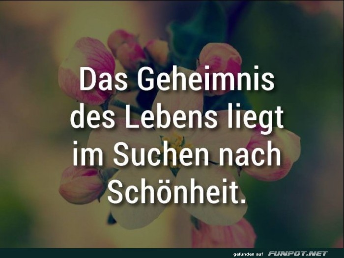 Das Geheimnis Das Geheimnis