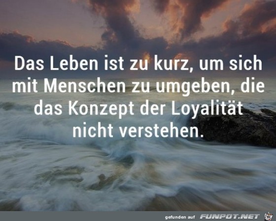 Das leben ist zu kurz Das leben ist zu kurz