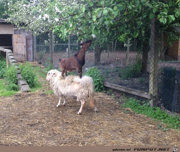 Das ist Teamwork Das ist Teamwork