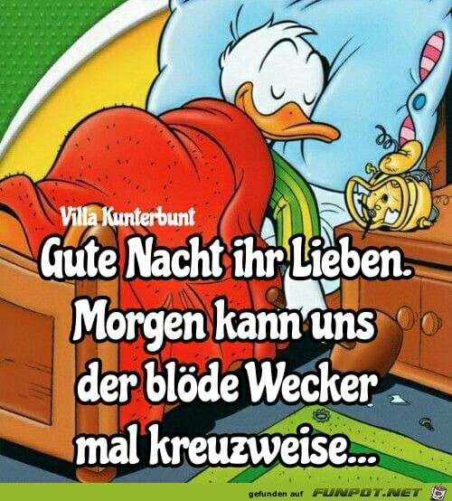 Morgen kann uns der bloede Wecker mal Morgen kann uns der bloede Wecker mal