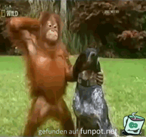 Da kipp ich doch glatt um