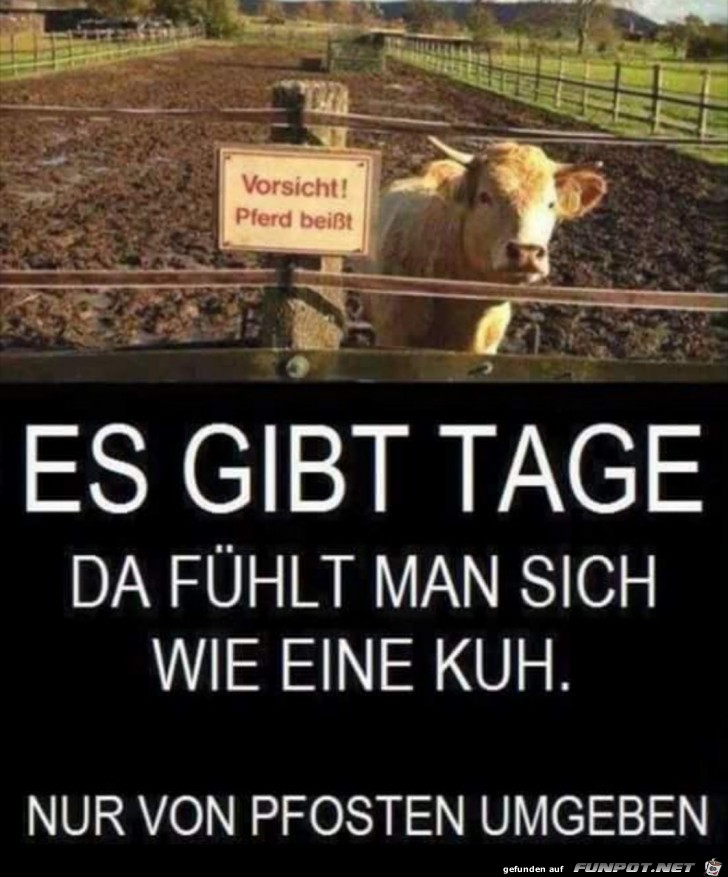 Nur Pfosten Nur Pfosten