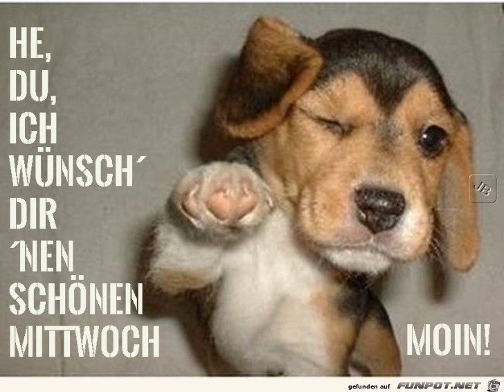 Mittwoch Mittwoch