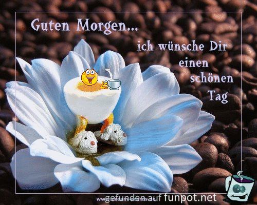 Guten Morgen