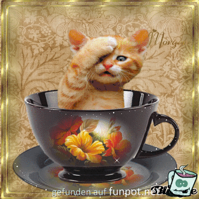 Guten Morgen- Guten Morgen-
