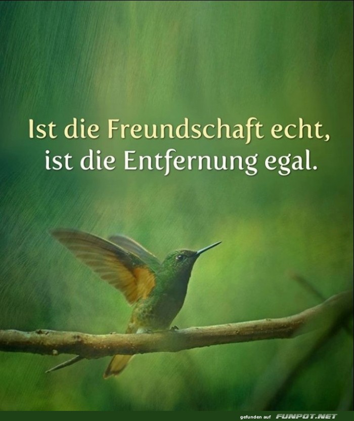 10 schne Sprche und Lebensweisheiten aus...