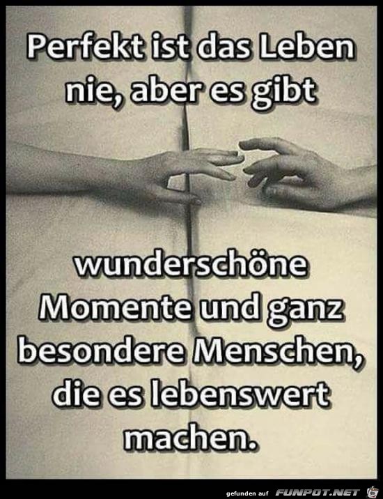 Download Schoene sprueche wichtige menschen For Android