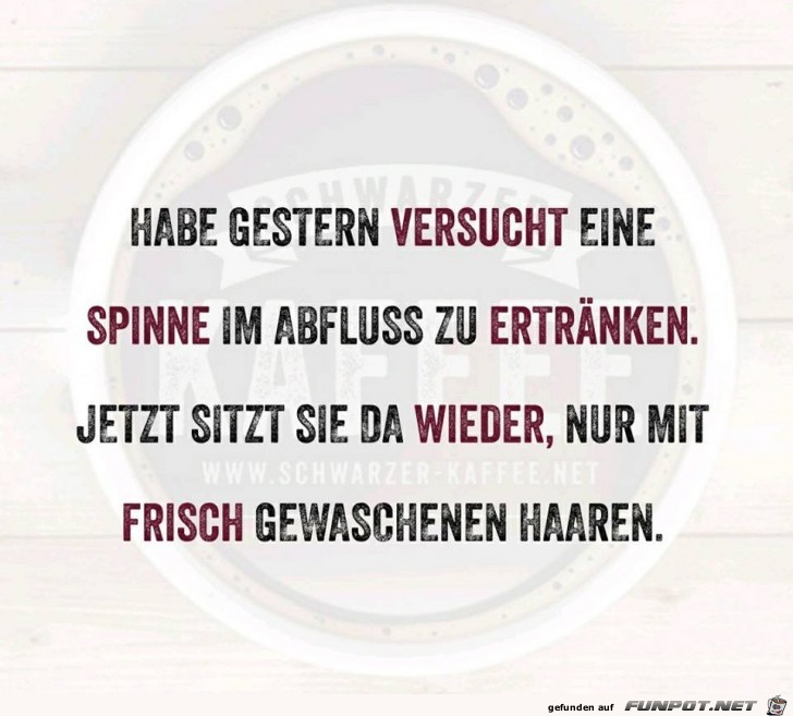 Frisch gewaschene Haare Frisch gewaschene Haare