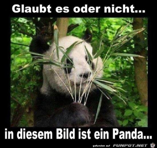 Ich glaube das nicht Ich glaube das nicht