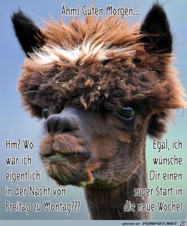 Montag Montag