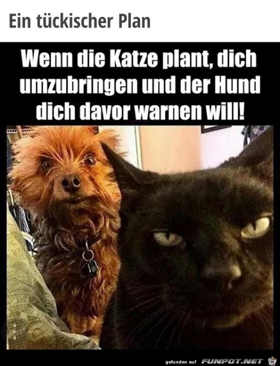 Schau immer genau hin Schau immer genau hin