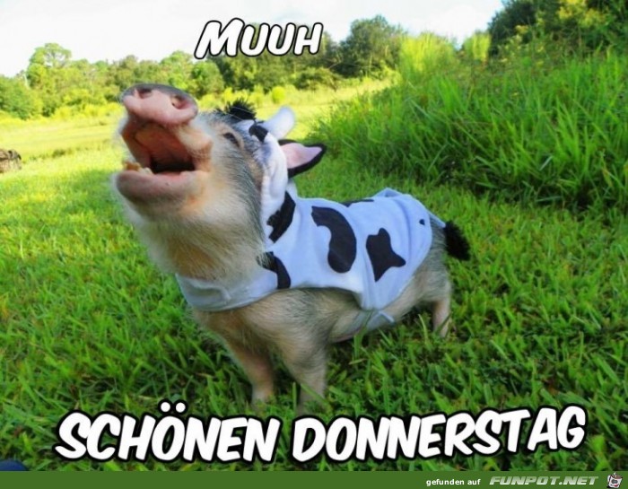Schönen Donnerstag Schönen Donnerstag