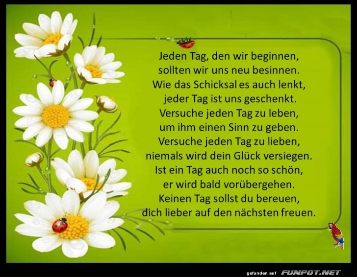 Jeder Tag ist ein Geschenk Jeder Tag ist ein Geschenk