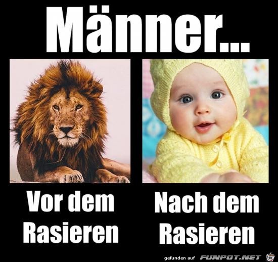 Männer Männer