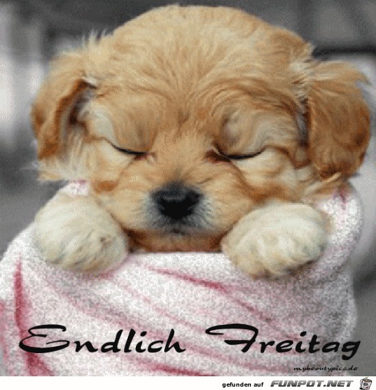 Endlich Freitag Endlich Freitag