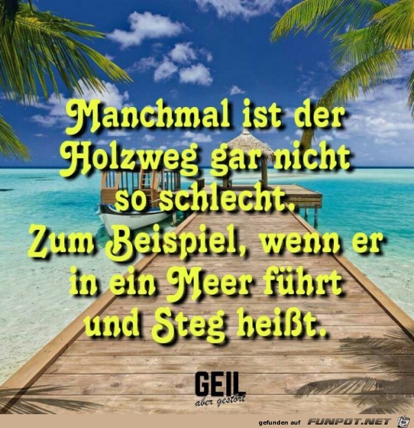 Manchmal ist der Holzweg